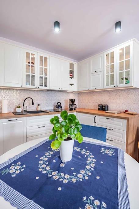 Apartmán Blue Sun Sloneczny